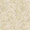 Latania W6653-03